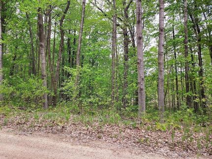 Undeveloped Land for sale in Clare County, Michigan