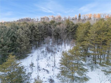 Undeveloped Land for sale in Columbiana County, Ohio