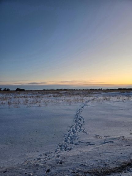 Undeveloped Land for sale in Norman County, Minnesota