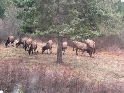 Recreational Property for sale in Kootenai County, Idaho