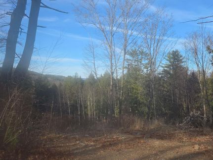 Undeveloped Land for sale in Windsor County, Vermont