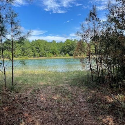 Waterfront Property for sale in Grimes County, Texas