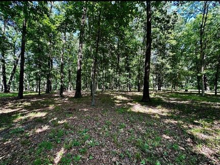 Undeveloped Land for sale in Shelby County, Illinois
