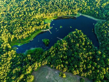 Timberland Property for sale in Choctaw County, Oklahoma