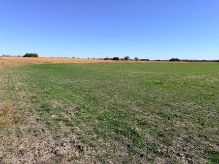 Property for sale in Mills County, Texas