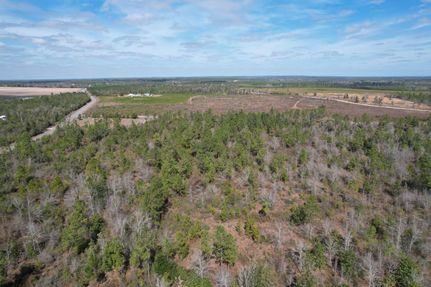 Farm Property for sale in Calhoun County, Florida