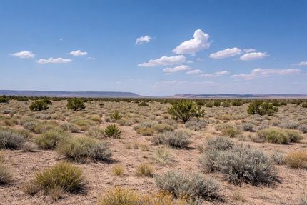 Riverfront Property for sale in Navajo County, Arizona
