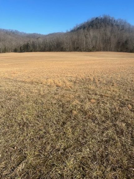 Undeveloped Land for sale in Cumberland County, Kentucky