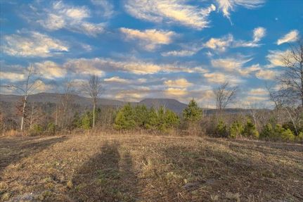 Undeveloped Land for sale in Walker County, Georgia