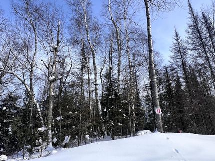 Undeveloped Land for sale in Vilas County, Wisconsin