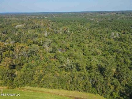 Ranch Property for sale in Smith County, Mississippi