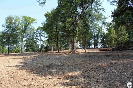 Undeveloped Land for sale in Bowie County, Texas