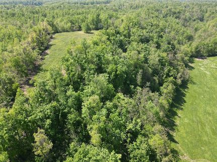 Undeveloped Land for sale in Coffee County, Tennessee