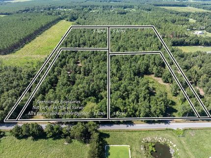 Undeveloped Land for sale in Suwannee County, Florida