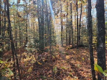 Undeveloped Land for sale in Sawyer County, Wisconsin