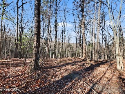 Ranch Property for sale in Blount County, Tennessee