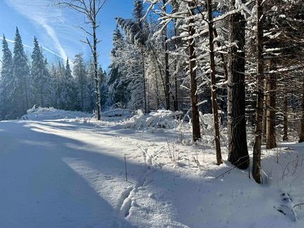 Undeveloped Land for sale in Lincoln County, Wisconsin