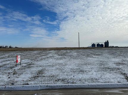 Undeveloped Land for sale in Webster County, Iowa