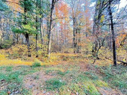 Farm Property for sale in Newaygo County, Michigan