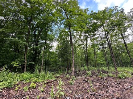 Undeveloped Land for sale in Marathon County, Wisconsin