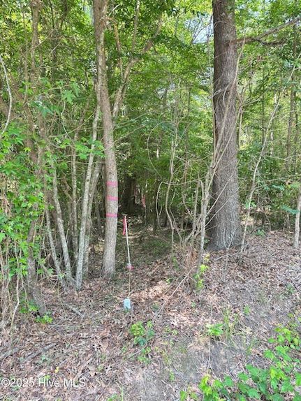 Property for sale in Hertford County, North Carolina