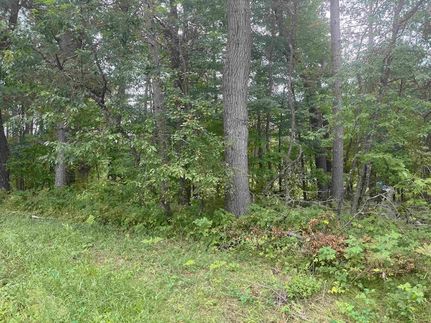 Undeveloped Land for sale in Shawano County, Wisconsin