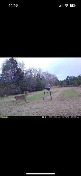 Undeveloped Land for sale in Barbour County, Alabama