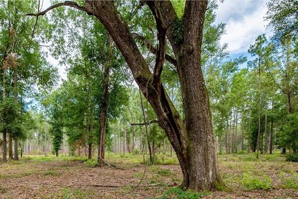 Undeveloped Land for sale in Baker County, Georgia