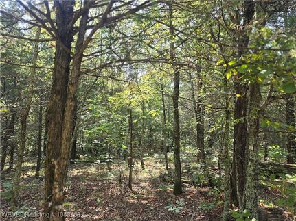 Undeveloped Land for sale in Sequoyah County, Oklahoma