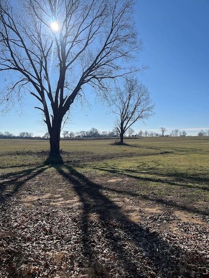 Farm Property for sale in Tipton County, Tennessee