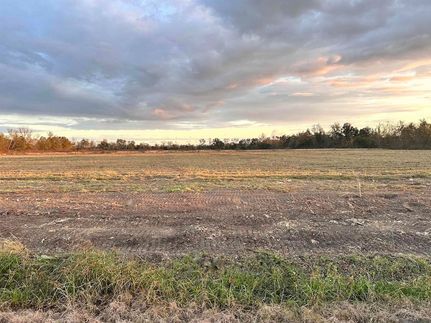 Undeveloped Land for sale in Ascension Parish, Louisiana