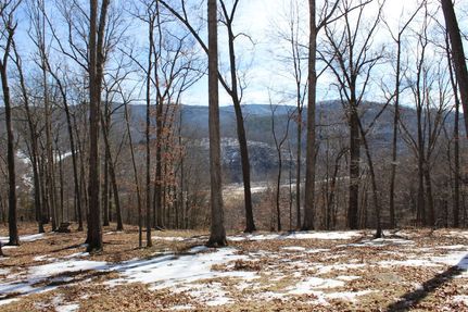 Undeveloped Land for sale in Highland County, Virginia