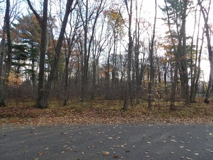 Undeveloped Land for sale in Oneida County, Wisconsin