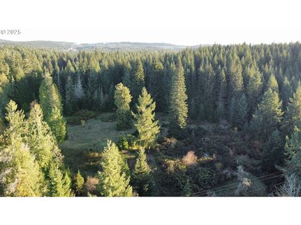 Undeveloped Land for sale in Douglas County, Oregon