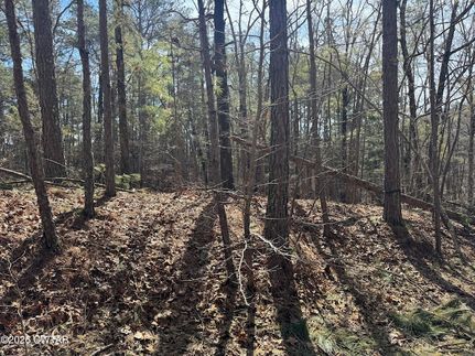 Undeveloped Land for sale in Hardeman County, Tennessee