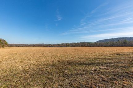 Undeveloped Land for sale in Polk County, Arkansas