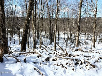 Waterfront Property for sale in Pike County, Pennsylvania