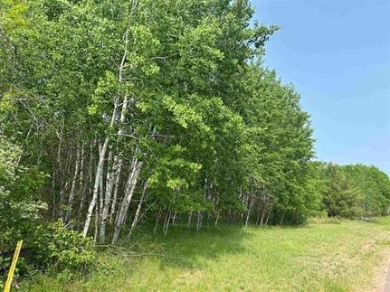 Undeveloped Land for sale in Bayfield County, Wisconsin