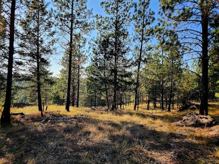 Undeveloped Land for sale in Lincoln County, Montana