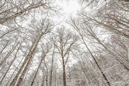 Farm Property for sale in Vilas County, Wisconsin