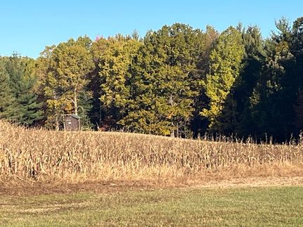 Undeveloped Land for sale in Mecosta County, Michigan