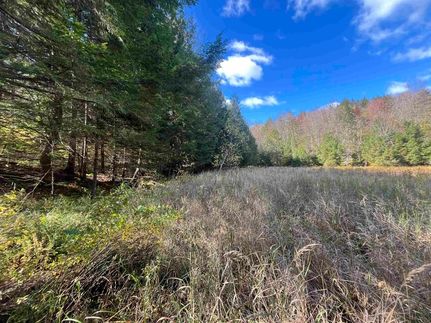 Undeveloped Land for sale in Washington County, Vermont