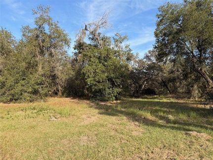 Lakefront Property for sale in Lake County, Florida