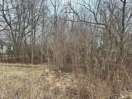 Undeveloped Land for sale in Wayne County, Michigan