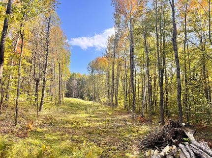 Undeveloped Land for sale in Cumberland County, Maine