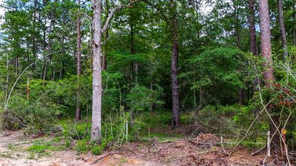 Farm Property for sale in Angelina County, Texas