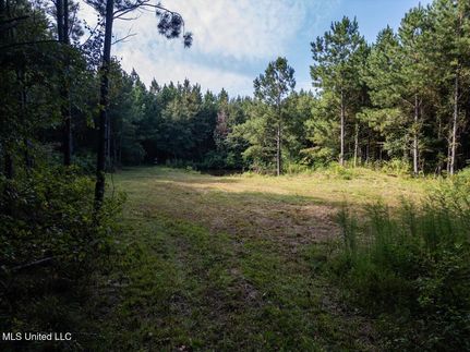 Timberland Property for sale in Copiah County, Mississippi