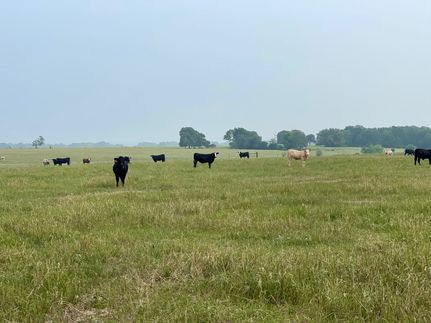 Ranch Property for sale in Falls County, Texas