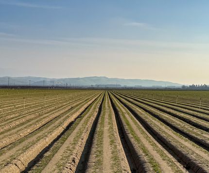 Undeveloped Land for sale in Kern County, California