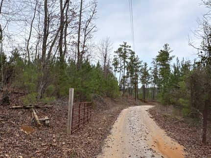 Hunting Land for sale in Bibb County, Alabama
